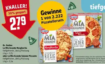 REWE Dr. Oetker La Mia Grande Margherita 360g oder La Mia Grande Salame Piccante 380g Angebot