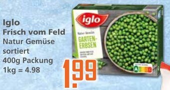 Klaas und Kock Iglo Frisch vom Feld 400 g Packung Angebot