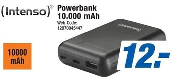Expert (Intenso) Powerbank 10.000 mAh Angebot