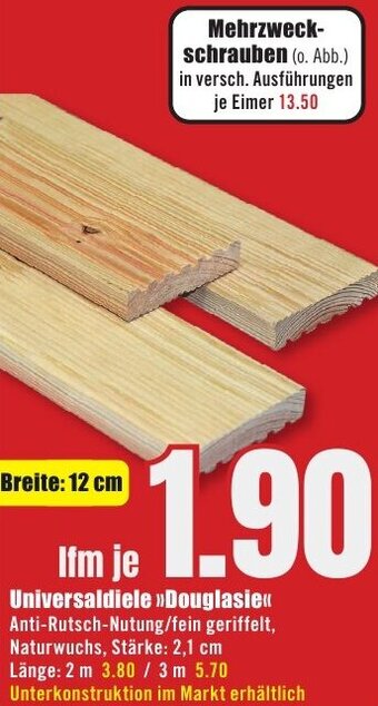 B1 Discount Baumarkt Universaldiele Douglasie Angebot