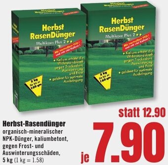 B1 Discount Baumarkt Herbst-Rasendünger 5 kg Angebot