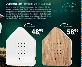 CITTI Markt Relaxound Zwitscherbox Angebot