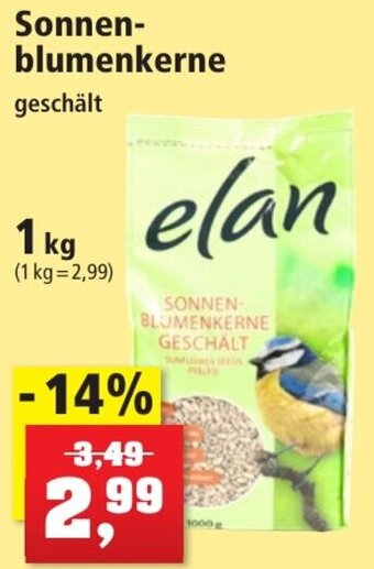 Thomas Philipps elan Sonnenblumenkerne 1 kg Angebot