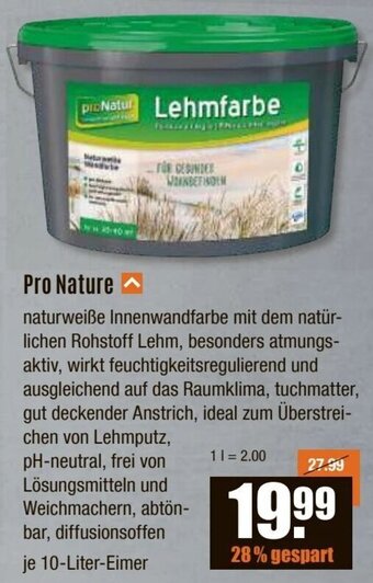 V Baumarkt Pro Nature Lehmfarbe 10 Liter Eimer Angebot