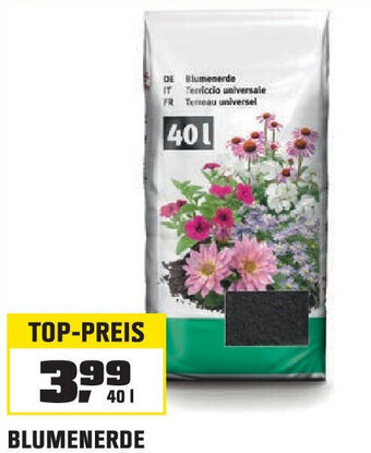 OBI BLUMENERDE 40 l Angebot