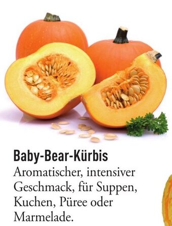 Galeria Markthalle Baby-Bear-Kürbis Angebot