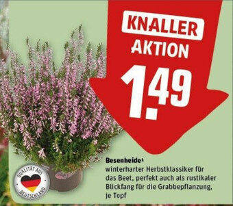 REWE Besenheide Angebot