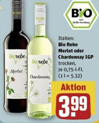 REWE Bio Rebe Merlot oder Chardonnay IGP 0,75 l Fl. Angebot