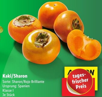 Lidl Kaki/Sharon Angebot