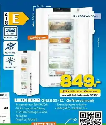 Euronics XXL Liebherr Gn2835-21 Gefrierschrank Angebot