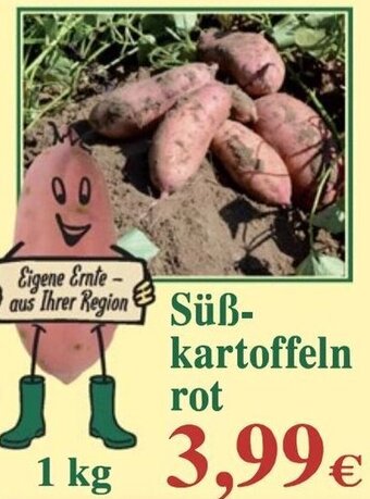 Edeka Niemerszein Süßkartoffeln rot 1 kg Angebot