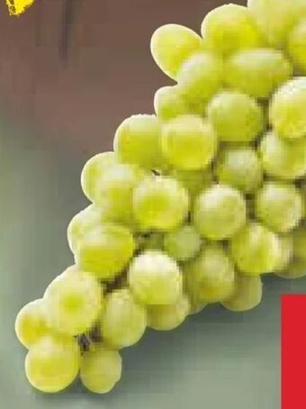 Netto Marken-Discount Trauben Angebot