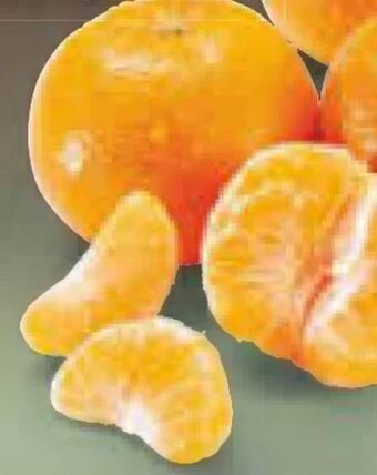 Netto Marken-Discount Mandarinen Angebot