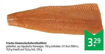 Marktkauf Frische Eismeerlachsforellenfilets Angebot