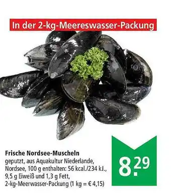 Marktkauf Frische Nordsee-muscheln Angebot