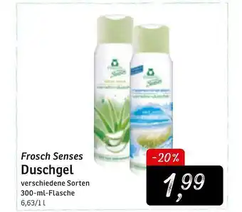 KONSUM Frosch Senses Duschgel Angebot