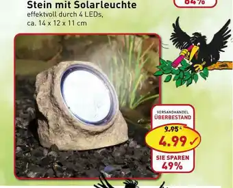 PicksRaus Stein Mit Solarleuchte Angebot