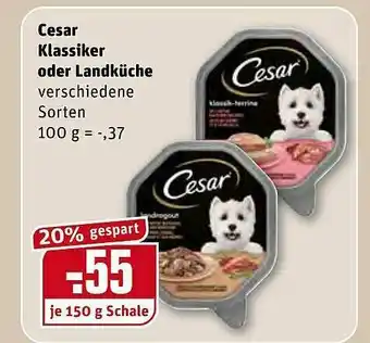 REWE Cesar Klassiker Oder Landküche Angebot