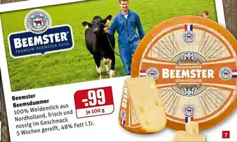 REWE Beemster Beemsdammer Angebot