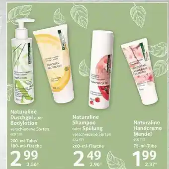 Selgros Naturaline Duschgel Oder Bodylotion, Shampoo Oder Spülung Oder Handcreme Mandel Angebot