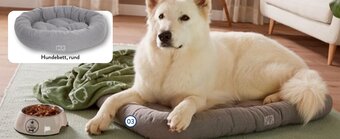 MARTIN RTTER Hundebett Angebot bei Aldi Nord