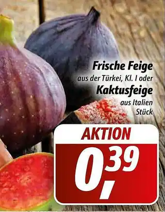 Simmel Frische Feige Oder Kaktusfeige Angebot