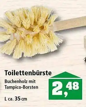 Thomas Philipps Toilettenbürste Angebot