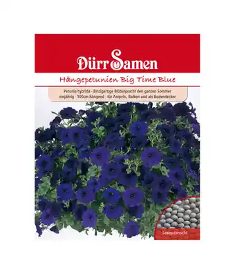 Dehner Dürr samen hängepetunie 'big time blue' Angebot