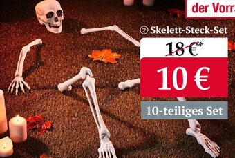 Woolworth Skelett Steck Set Angebot