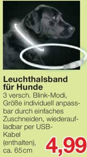 Jawoll Leuchthalsband für Hunde Angebot