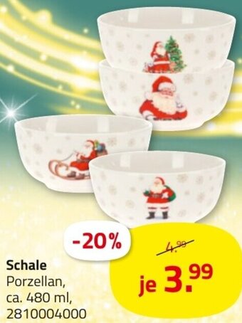 ROLLER Schale Angebot