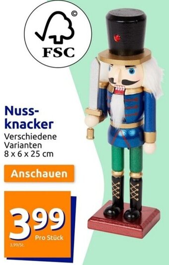 Action Nussknacker Angebot
