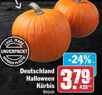 HIT Deutschland Halloween Kürbis Angebot