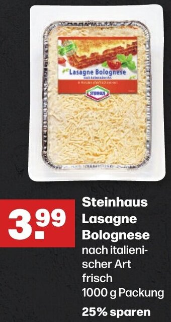 Handelshof Steinhaus Lasagne Bolognese 1000 g Packung Angebot