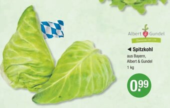 V Markt Albert Gundel Spitzkohl 1kg Angebot