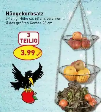 PicksRaus Hängekorbsatz Angebot