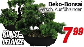 CENTERSHOP Deko-Bonsai Angebot