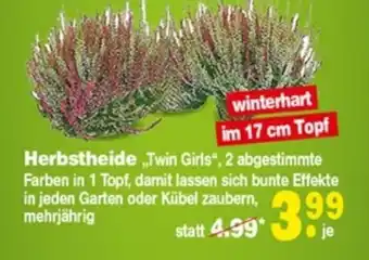 Repo Markt Herbstheide Twin Girls Angebot