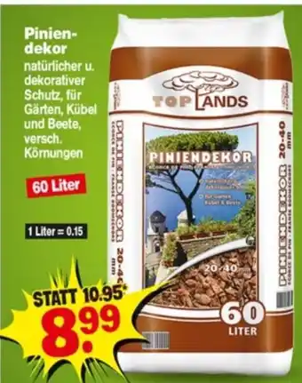 Repo Markt Piniendekor 60L Angebot