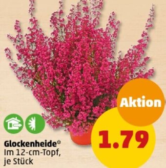 PENNY Glockenheide Angebot