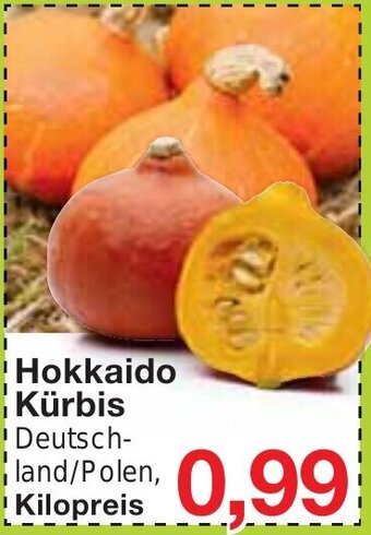 Wiglo Wunderland Hokkaido Kürbis Angebot