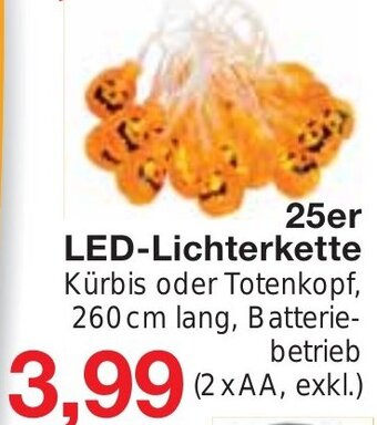 Wiglo Wunderland 25er LED-Lichterkette Angebot