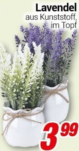 CENTERSHOP Lavendel Angebot