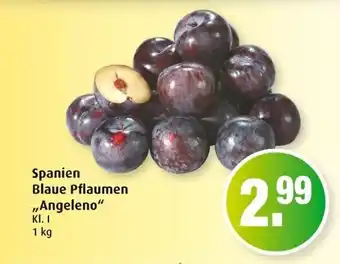 Markant Spanien Blaue Pflaumen Angeleno 1kg Angebot