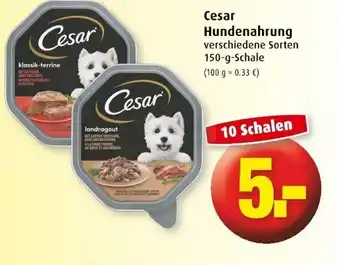 Markant Cesar Hundenahrung 150g Angebot