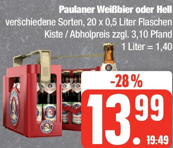 Edeka Paulaner Weißbier oder Hell 20 x 0,5 Liter Flaschen Angebot