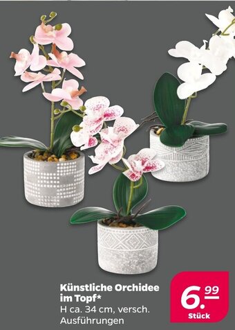 NETTO Künstliche Orchidee im Topf Angebot