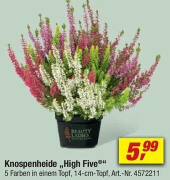 toom Baumarkt Knospenheide High Five Angebot