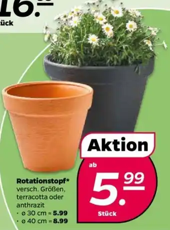 NETTO Rotationstopf Angebot