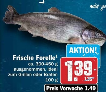 Hit Frische Forelle 100 g Angebot